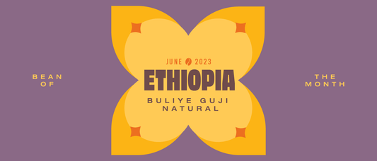 ETHIOPIAN BULIYE | June 2023 - Merlo Coffee