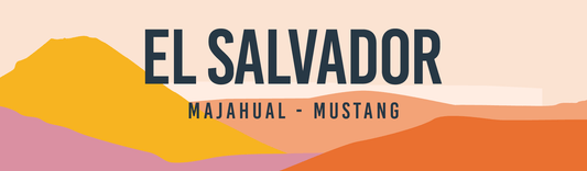 EL SALVADOR MUSTANG | August 2023 - Merlo Coffee