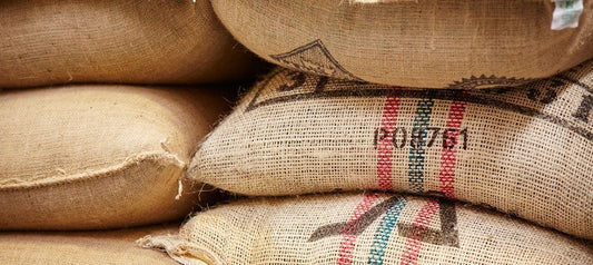 Coffee Grading 101: A Guide to Understanding the Basics - Merlo Coffee