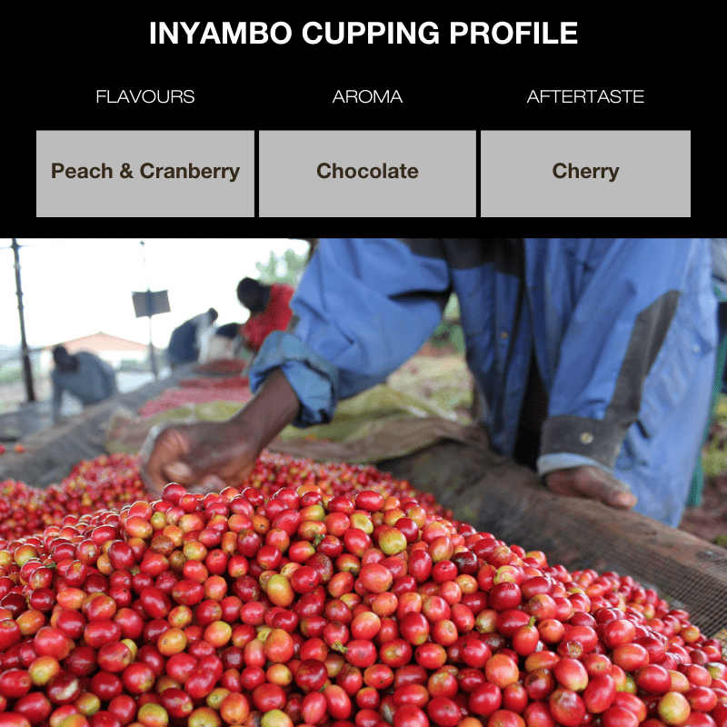 Burundi Inyambo Limited Edition Coffee