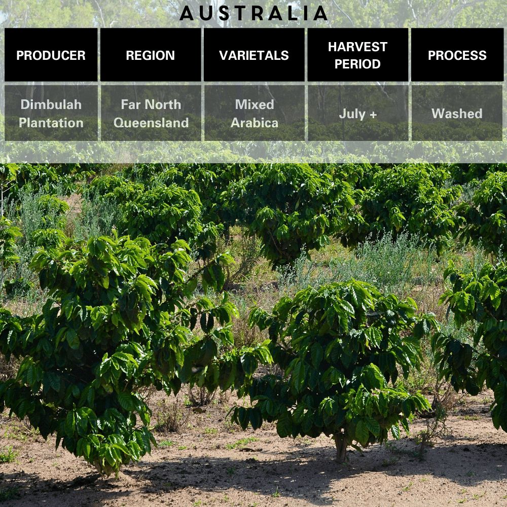 Australia Single Origin Merlo Producer, Region, Varietals, Harvest Period, Washed Process.
