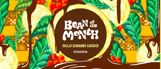 ETHIOPIA GUJI DAMBO UDDO | February 2025 - Merlo Coffee