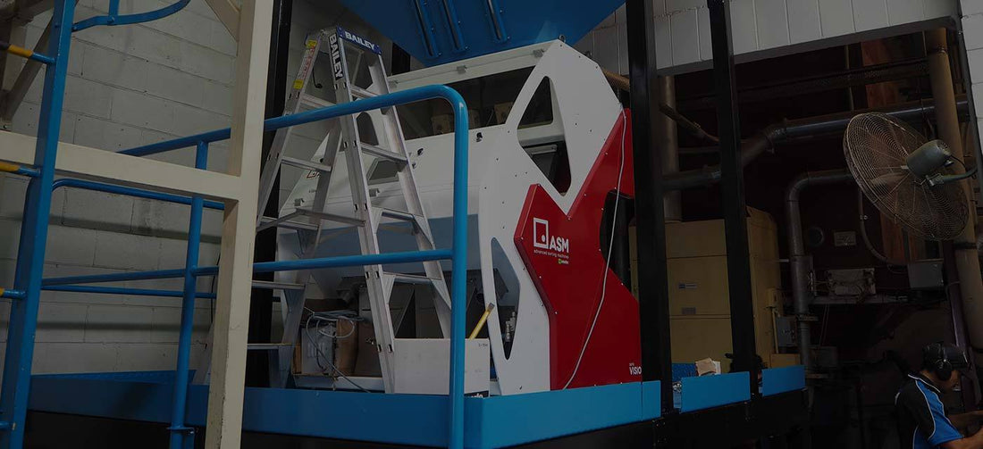 The Role of our Roasted Coffee Colour Sorter - Merlo Coffee