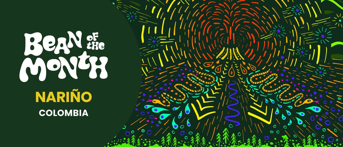 COLOMBIA NARINO | April 2024 - Merlo Coffee