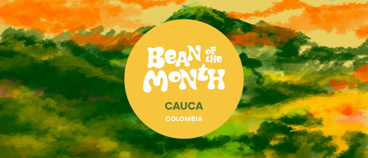 COLOMBIA CAUCA | August 2024 - Merlo Coffee