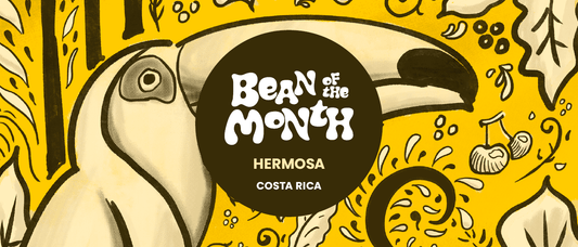 COSTA RICA HERMOSA | August 2025 - Merlo Coffee