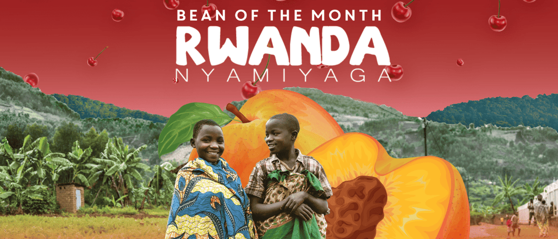 RWANDA NYAMIYAGA | March 2023 - Merlo Coffee