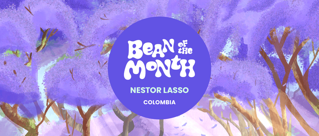COLOMBIA NESTOR LASSO | October 2025 - Merlo Coffee