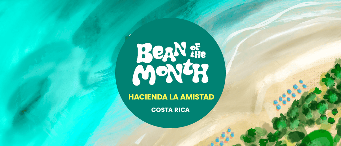 COSTA RICA HACIENDA LA AMISTAD | December 2025 - Merlo Coffee