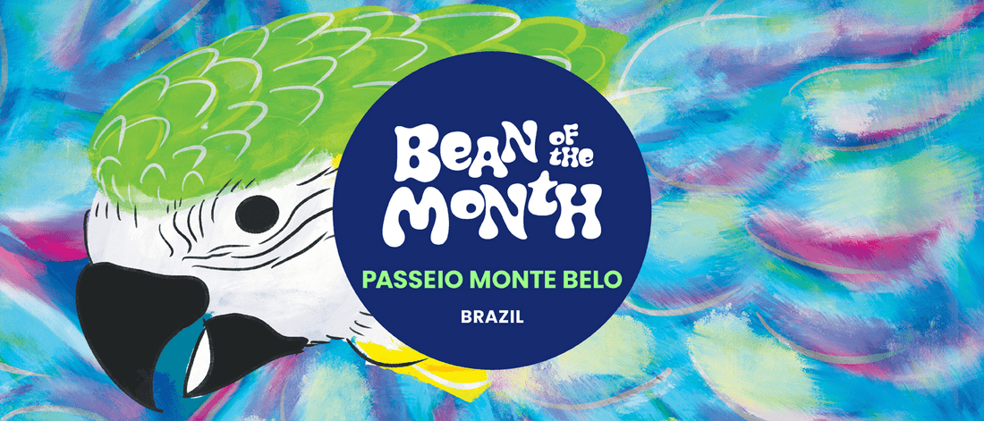 BRAZIL PASSEIO MONTE BELO | April 2025 - Merlo Coffee