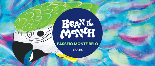 BRAZIL PASSEIO MONTE BELO | April 2025 - Merlo Coffee