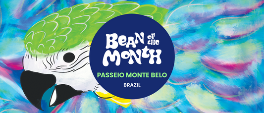 BRAZIL PASSEIO MONTE BELO | April 2025