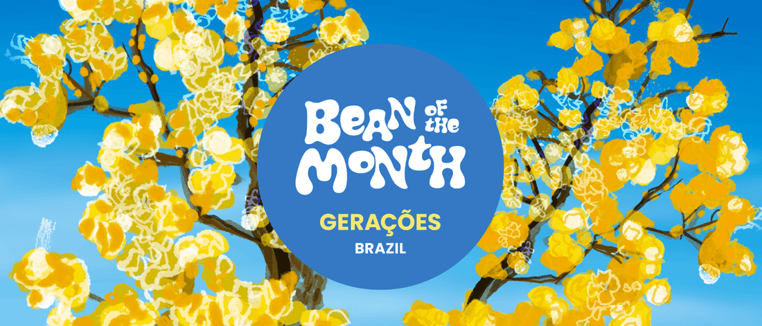 BRAZIL GERACOES | May 2026 - Merlo Coffee