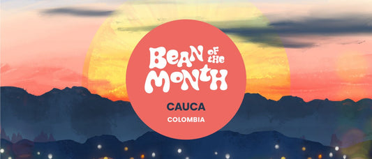 COLOMBIA CAUCA | AUGUST 2026 - Merlo Coffee