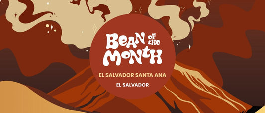 EL SALVADOR SANTA ANA | March 2026 - Merlo Coffee