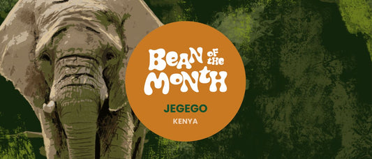 KENYA JEGEGO | JULY 2026 - Merlo Coffee