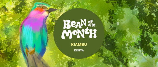 KENYA KIAMBU | April 2026 - Merlo Coffee