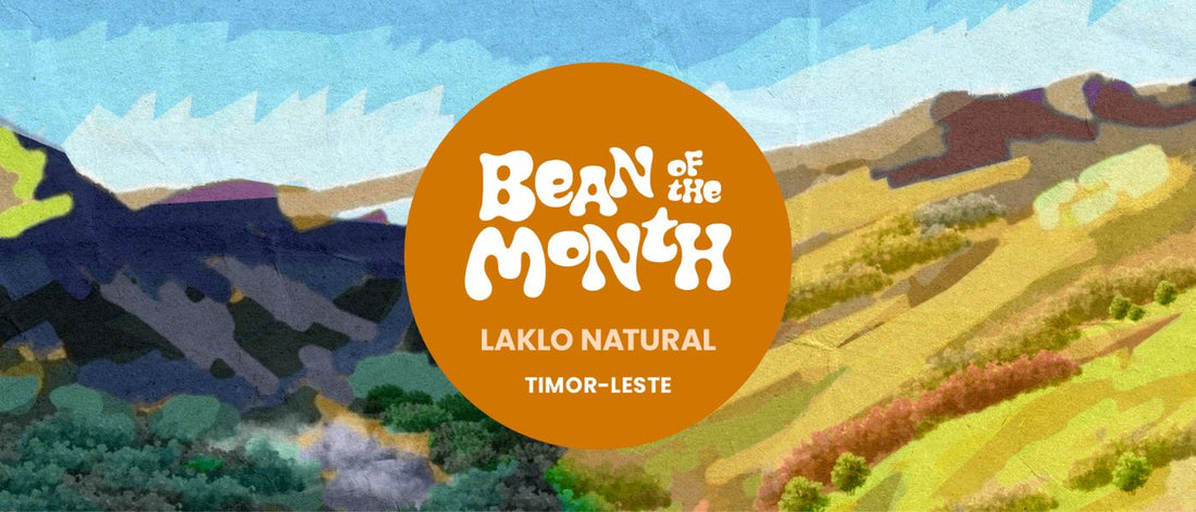 TIMOR-LESTE LAKLO NATURAL | SEPTEMBER 2026 - Merlo Coffee