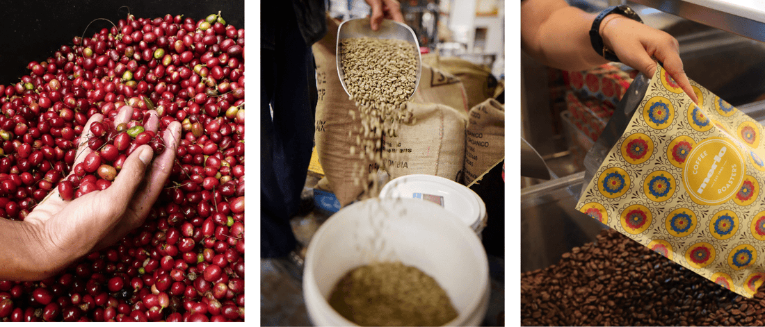 What Is Specialty Coffee? A Guide for Australian Coffee Lovers - Merlo Coffee