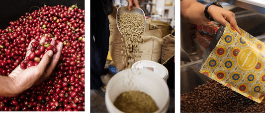 What Is Specialty Coffee? A Guide for Australian Coffee Lovers - Merlo Coffee