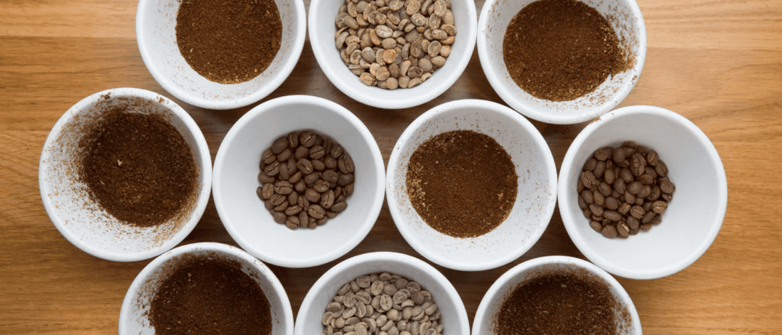 Tasting Coffee Like a Pro: Understanding Flavour, Balance, and Complexity - Merlo Coffee