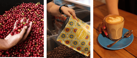 From Cherry to Cup: Understanding Coffee Processing Methods - Merlo Coffee