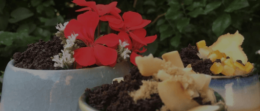 How to Make a Coffee Scrub at Home - Merlo Coffee