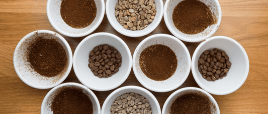 Tasting Coffee Like a Pro – Understanding Flavour, Balance, and Complexity - Merlo Coffee