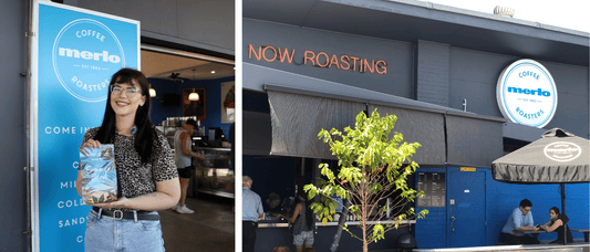 Coffee Fanatics: The Purr-fect Blend - Merlo Coffee