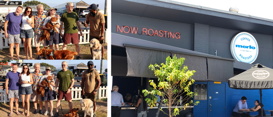 Coffee Fanatics - A Morning Ritual at Merlo Paddington - Merlo Coffee