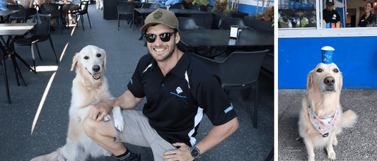 Coffee Fanatics: A Man, His Dog and Their Merlo Ritual - Merlo Coffee