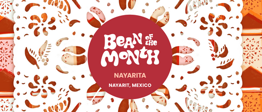 MEXICO NAYARITA | May 2025