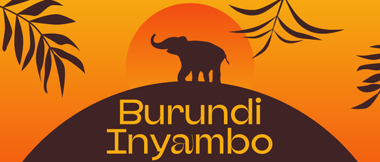 BURUNDI INYAMBO | July 2023 - Merlo Coffee