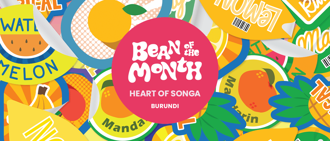 BURUNDI HEART OF SONGA | February 2026 - Merlo Coffee