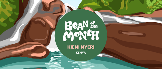 KENYA KIENI NYERI | July 2025 - Merlo Coffee