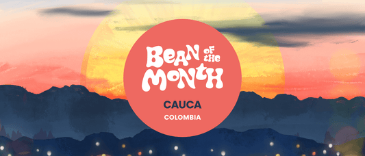 COLOMBIA CAUCA  | June 2025 - Merlo Coffee