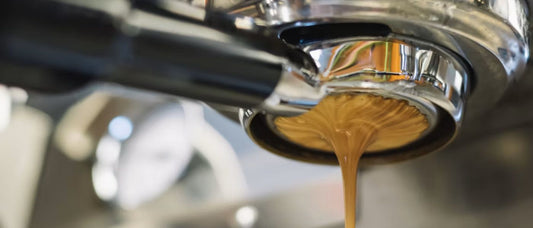 Enhance Your Coffee Tasting Experience - Merlo Coffee
