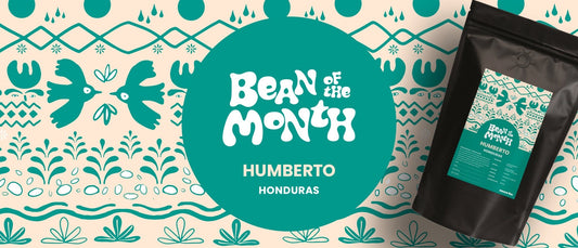 HONDURAS HUMBERTO | February 2024 - Merlo Coffee