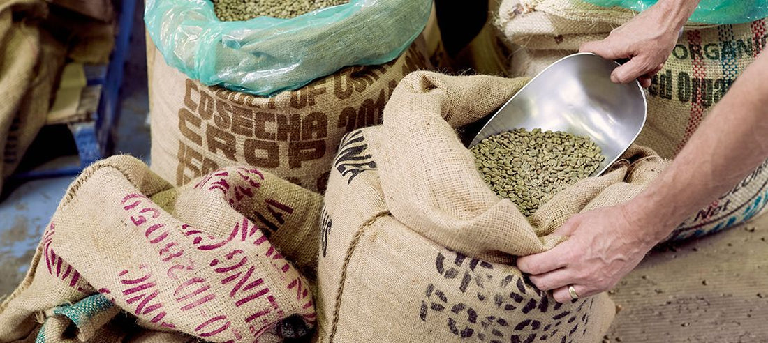 The Maillard Reaction | What Is It? - Merlo Coffee