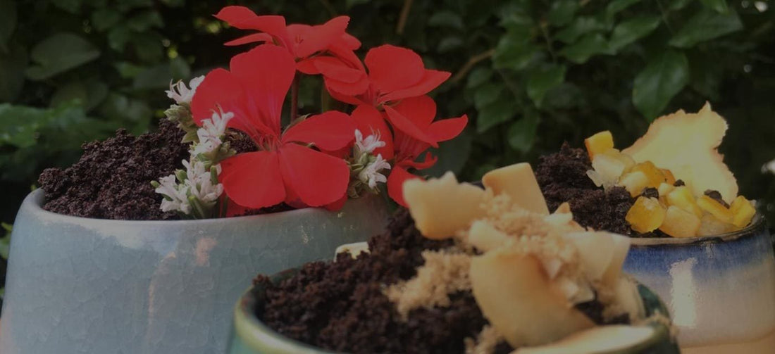 How to Make a Coffee Scrub at Home - Merlo Coffee