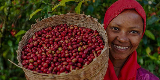 The Ethiopian 'Choche' Coffee Ceremony - Merlo Coffee