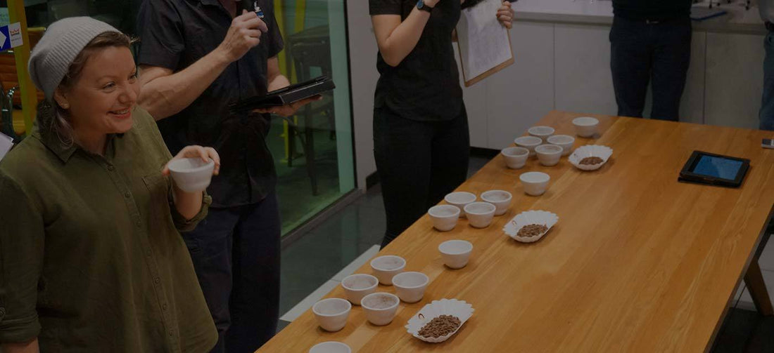 Cupping Panel Profile | Frith La Vin Lloyd - Merlo Coffee