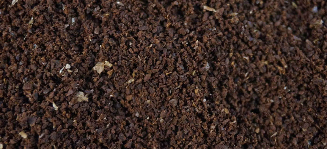 Coffee Grounds in the Garden - Merlo Coffee