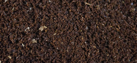 Coffee Grounds in the Garden - Merlo Coffee
