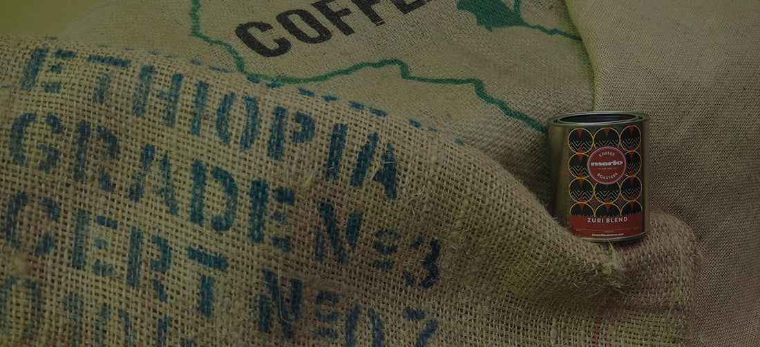 Zuri | Creating the Coffee Blend - Merlo Coffee