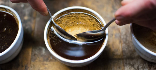 Master the Art of Coffee Cupping - Merlo Coffee