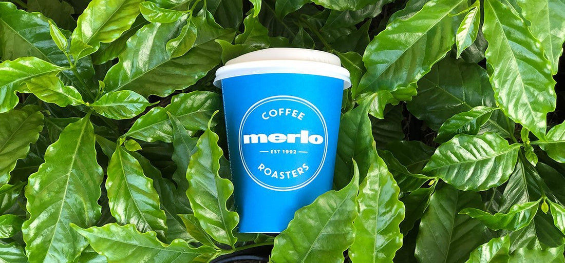 Queensland Coffee Lovers Launch War on Waste - Merlo Coffee