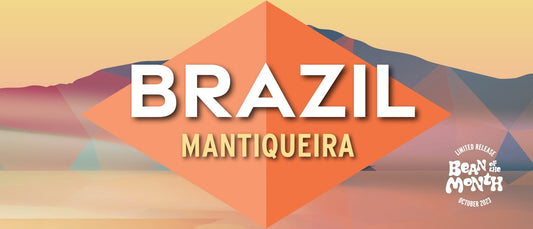 BRAZIL MANTIQUEIRA | October 2023 - Merlo Coffee