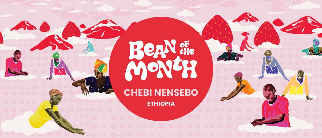 ETHIOPIA CHEBI NENSEBO | October 2024 - Merlo Coffee