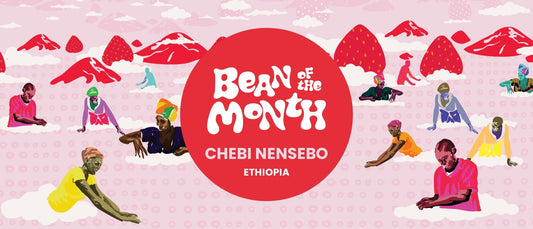 ETHIOPIA CHEBI NENSEBO | October 2024 - Merlo Coffee